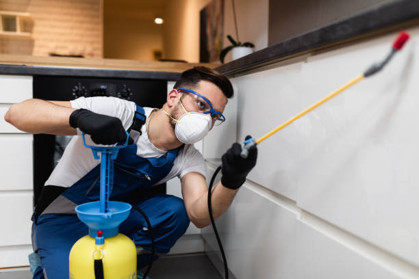 Reliable Leakesville, MS Pest Control Solutions