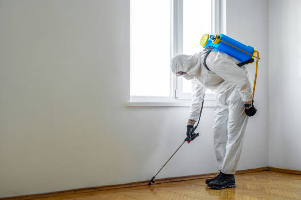 Best Pest Removal Services  in Leakesville, MS