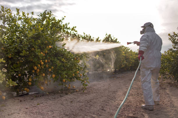 Best Pest Inspection Near Me  in Leakesville, MS