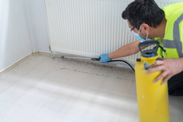 Best Cockroach Control Services  in Leakesville, MS