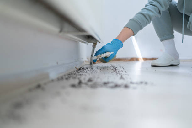 Best Emergency Pest Control  in Leakesville, MS